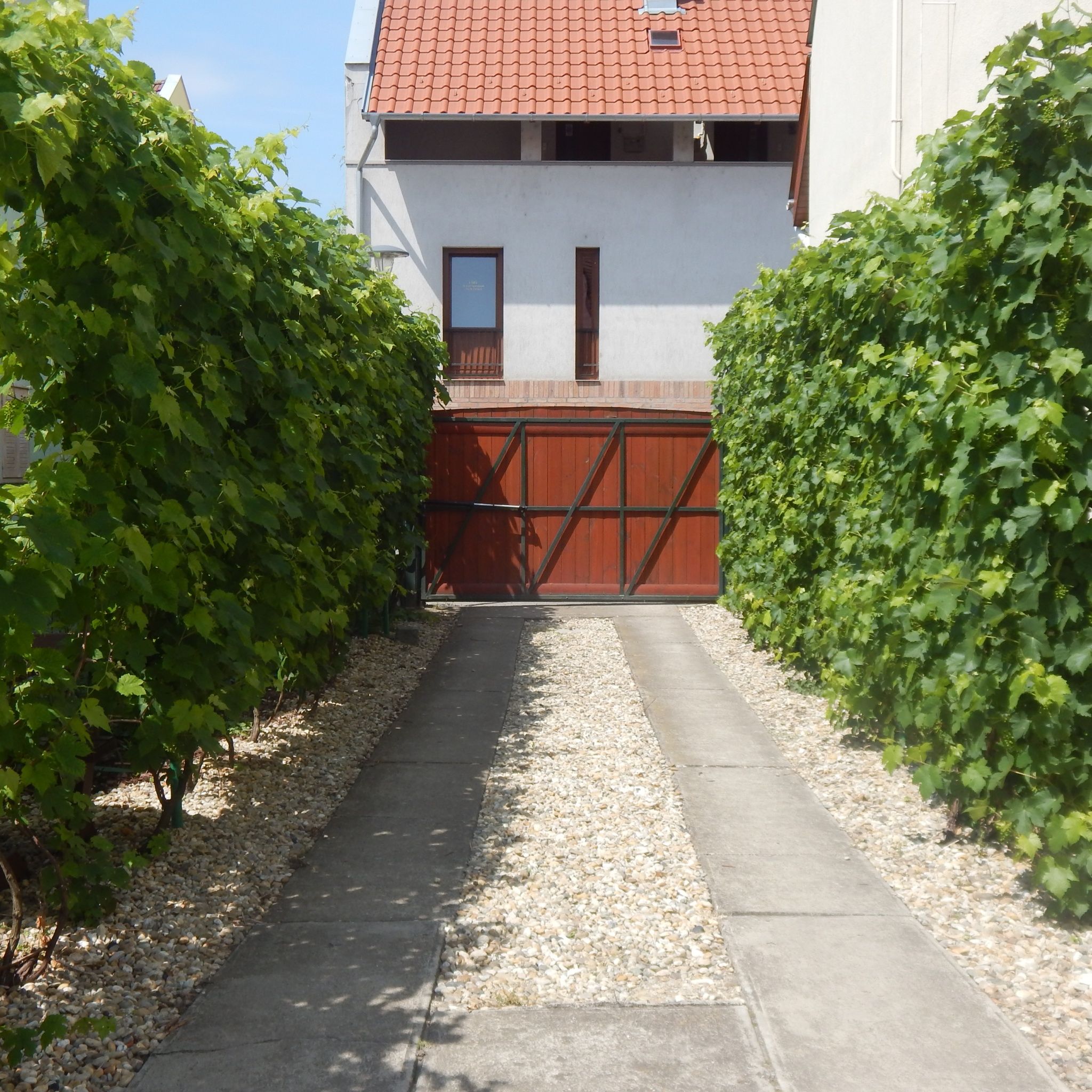 Pannon Apartman – Gyula fotó 4
