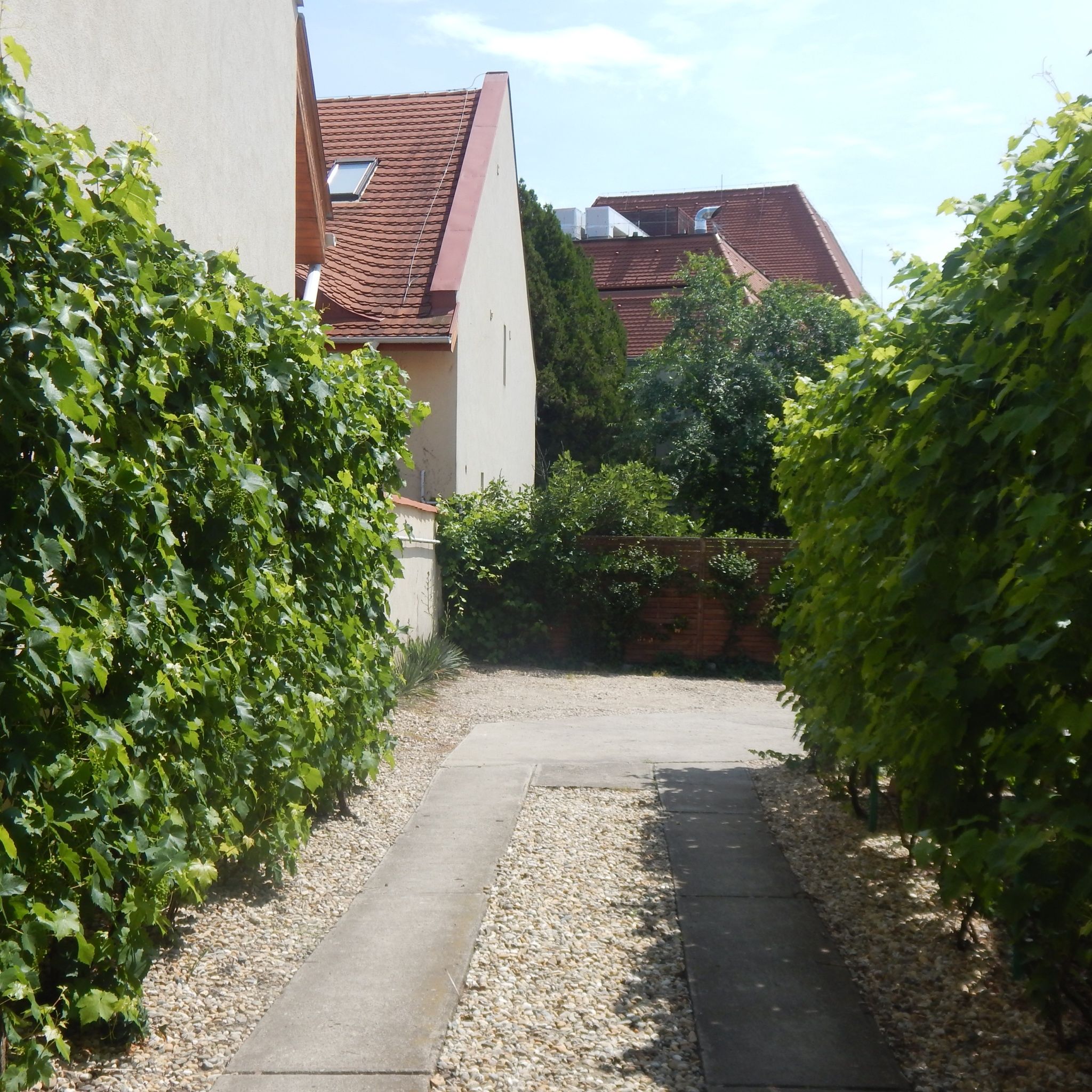 Pannon Apartman – Gyula fotó 5
