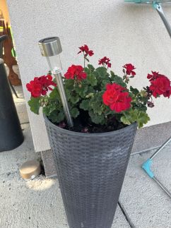 Sárkány Apartman10