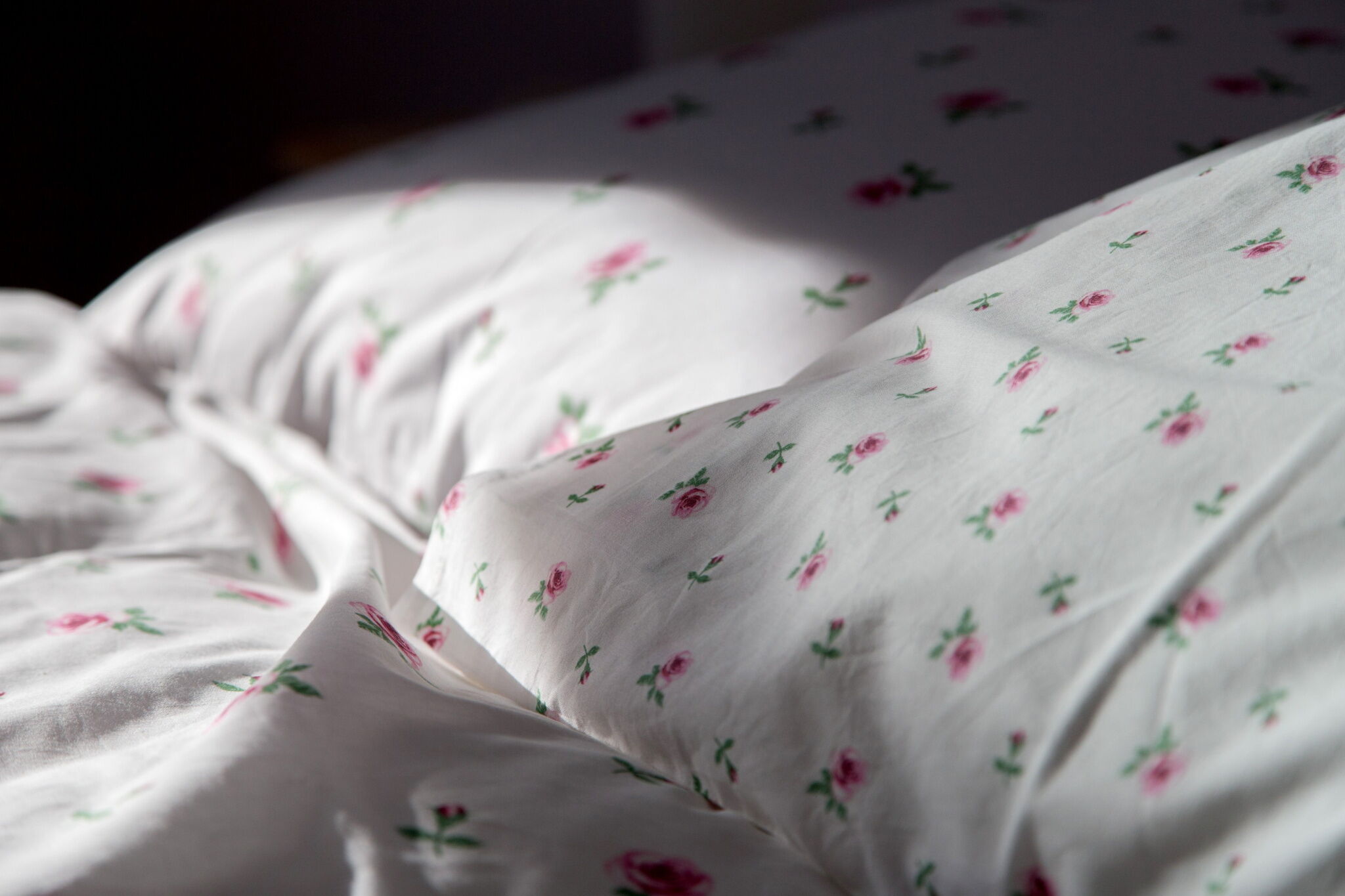 Almafás Apartmanház Őrség – Kerkakutas fotó 5