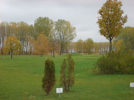 Golfpálya Apartman1