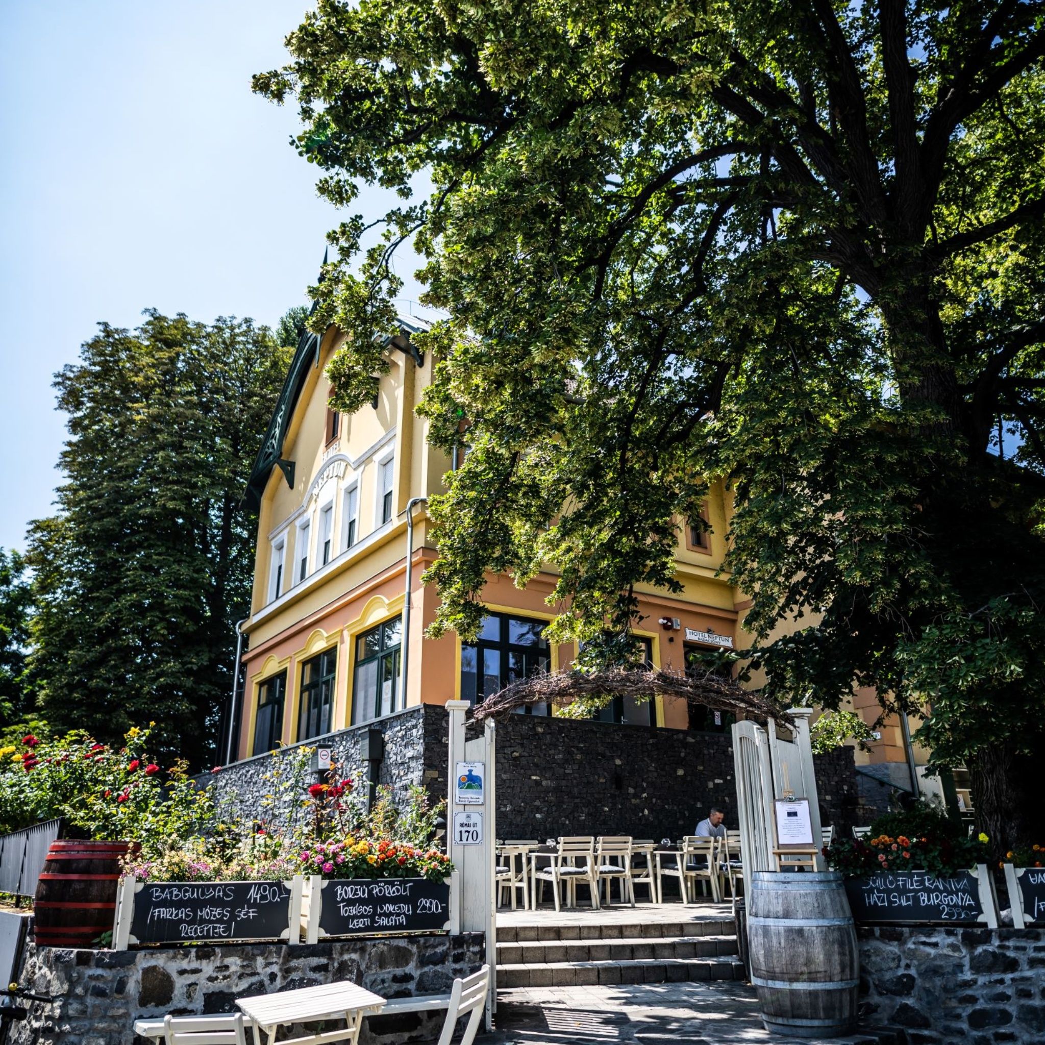 Hotel Neptun – Badacsony fotó 1