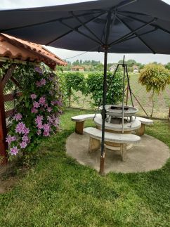 Tavirózsa Apartman12