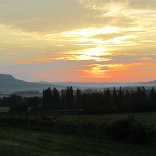 Balatonederics Hovamenjek.hu