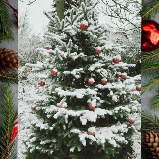 Pálfalvi Szállás68