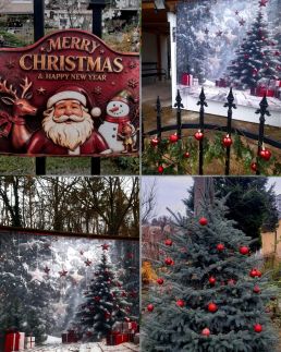 Pálfalvi Szállás72