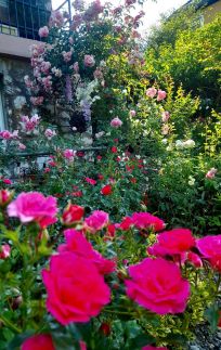 Pálfalvi Szállás76