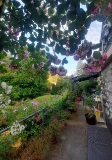 Pálfalvi Szállás77