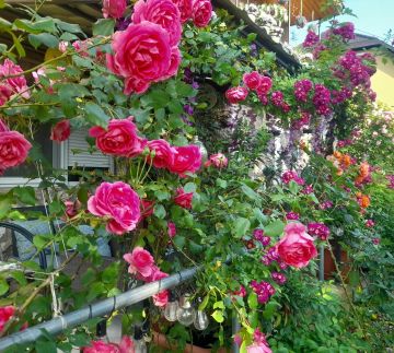 Pálfalvi Szállás80