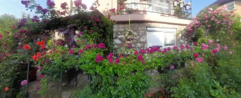 Pálfalvi Szállás81