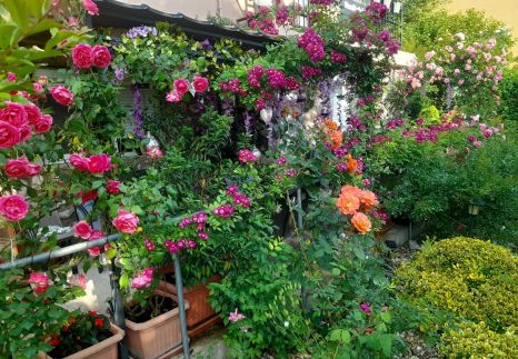 Pálfalvi Szállás82