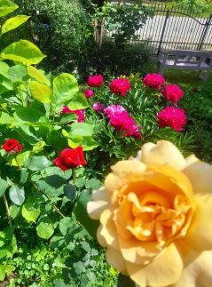 Pálfalvi Szállás83