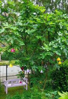 Pálfalvi Szállás84