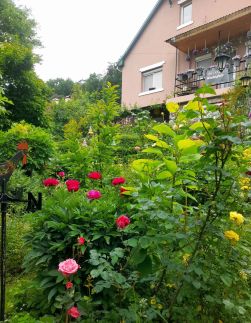 Pálfalvi Szállás85