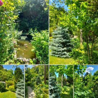 Pálfalvi Szállás88