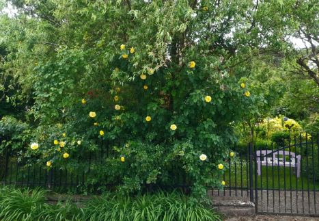 Pálfalvi Szállás89