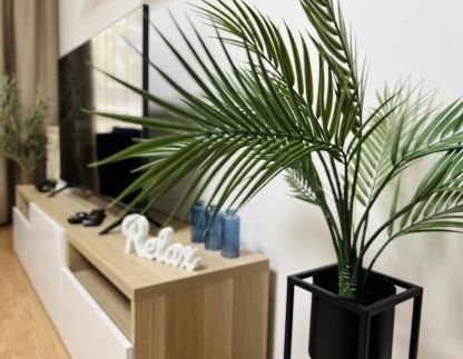 Belváros Apartman20