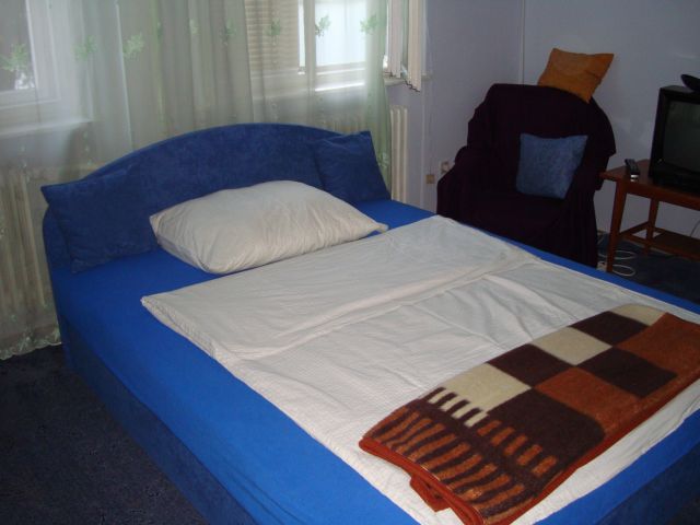 Delfin Apartman – Gyula fotó 15