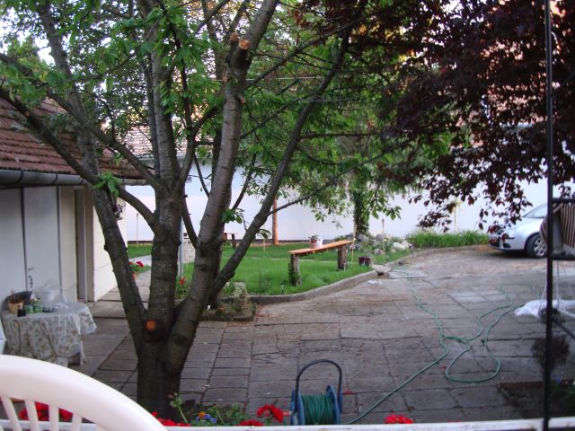 Delfin Apartman – Gyula fotó 16