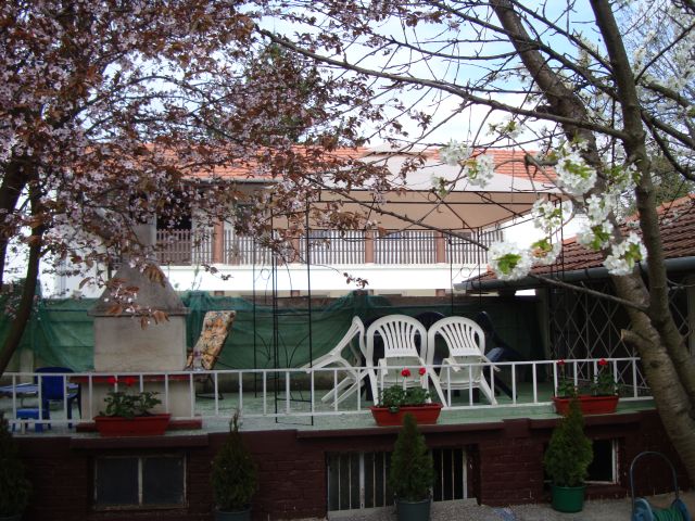 Delfin Apartman – Gyula fotó 1