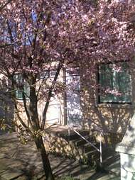 Delfin Apartman – Gyula fotó 20