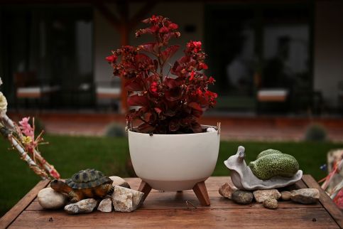 LuDo Apartman & Spa – Makó fotó 56
