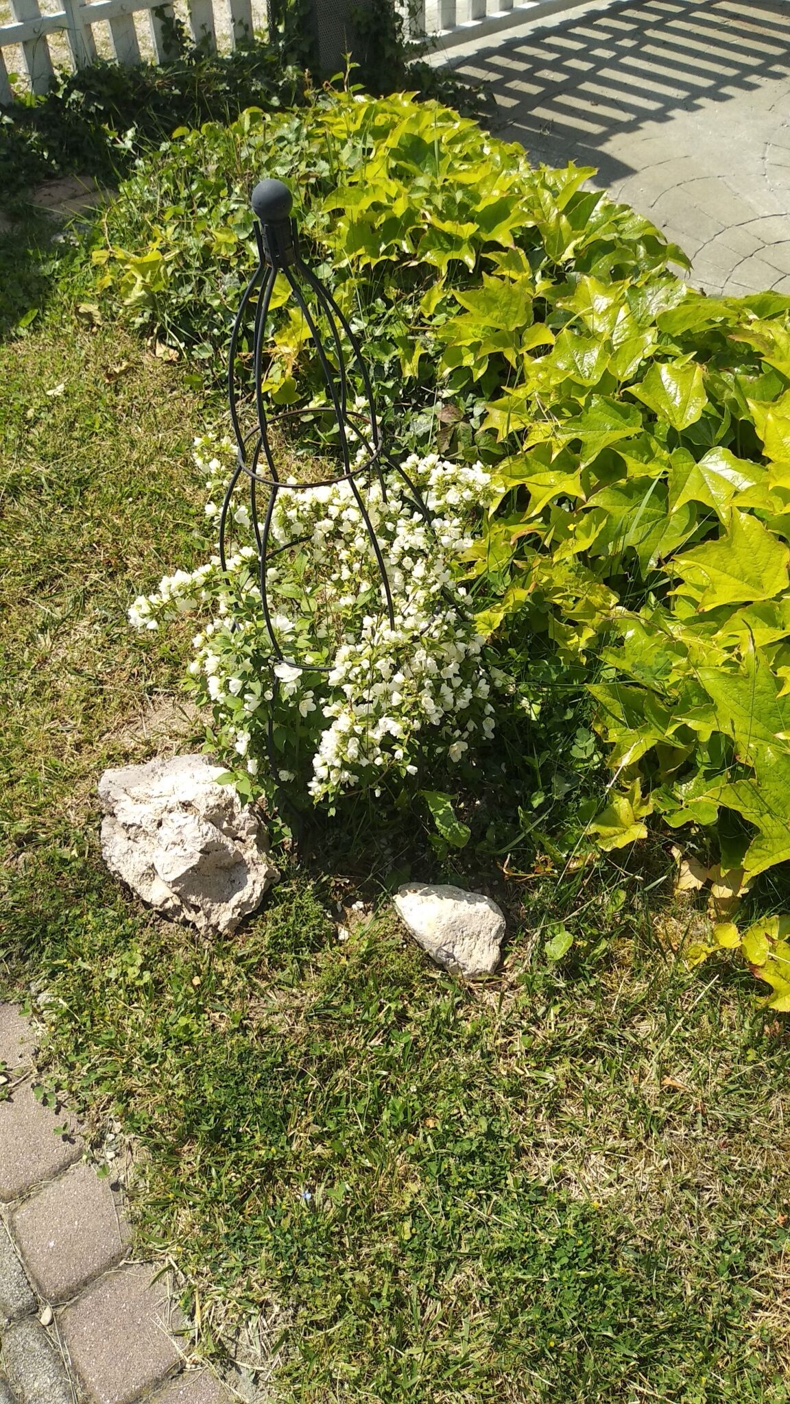 Kardos Apartman – Gyenesdiás fotó 13