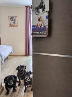 CE Plaza Hotel134