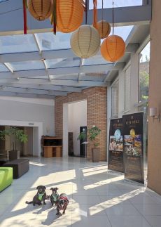 CE Plaza Hotel136