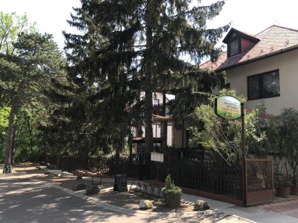 Feketerigó Panzió6