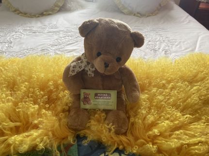 Mackó Apartman9