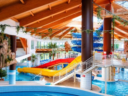 Mackó Apartman21