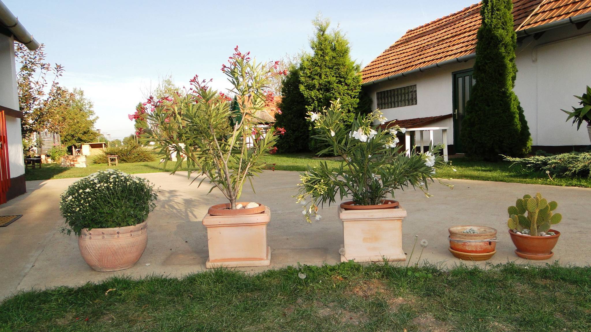 Gólyavár Porta – Tiszafüred-Kócsújfalu fotó 2