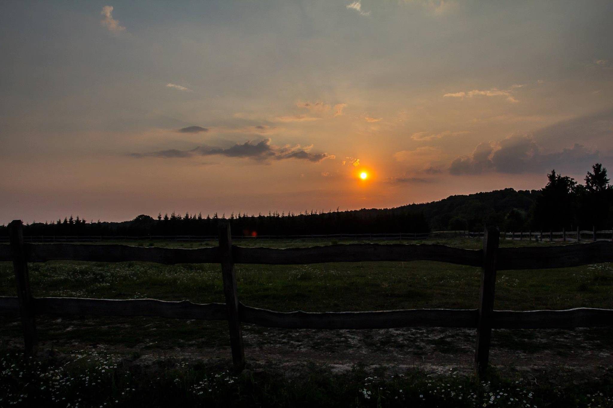 Tündérfarm – Tündérmajor fotó 21