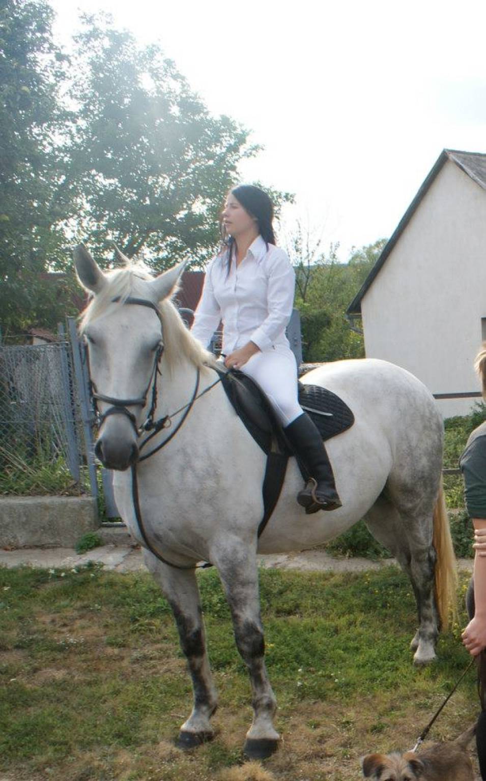 Tündérfarm – Tündérmajor fotó 8