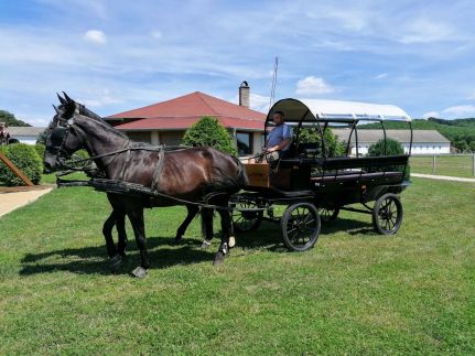 Sokoro Fogadó59