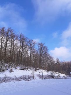 Rókabérc Vadászház65