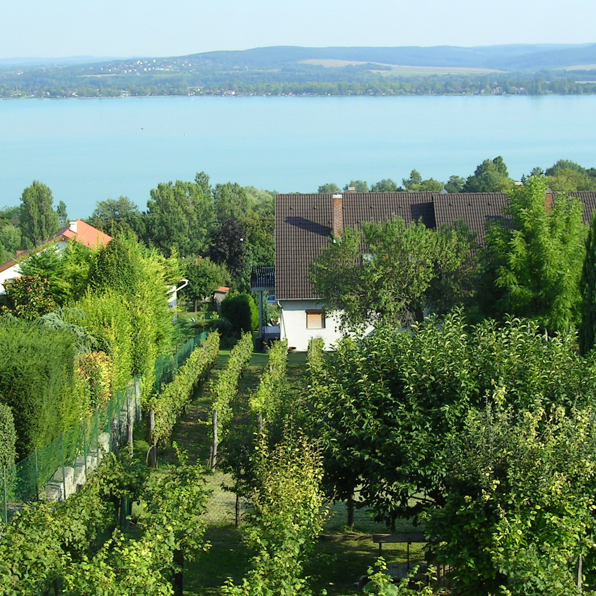 Balázs Apartman – Tihany fotó 4