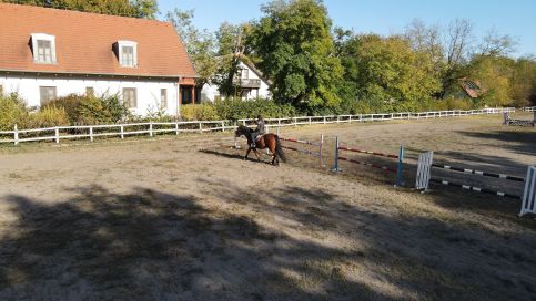 Sarlóspuszta Club Hotel – Tatárszentgyörgy fotó 12