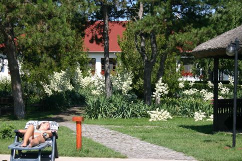 Sarlóspuszta Club Hotel – Tatárszentgyörgy fotó 27