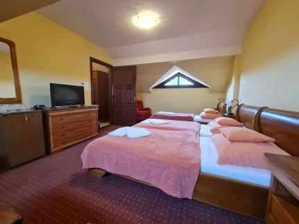 Sarlóspuszta Club Hotel – Tatárszentgyörgy fotó 83