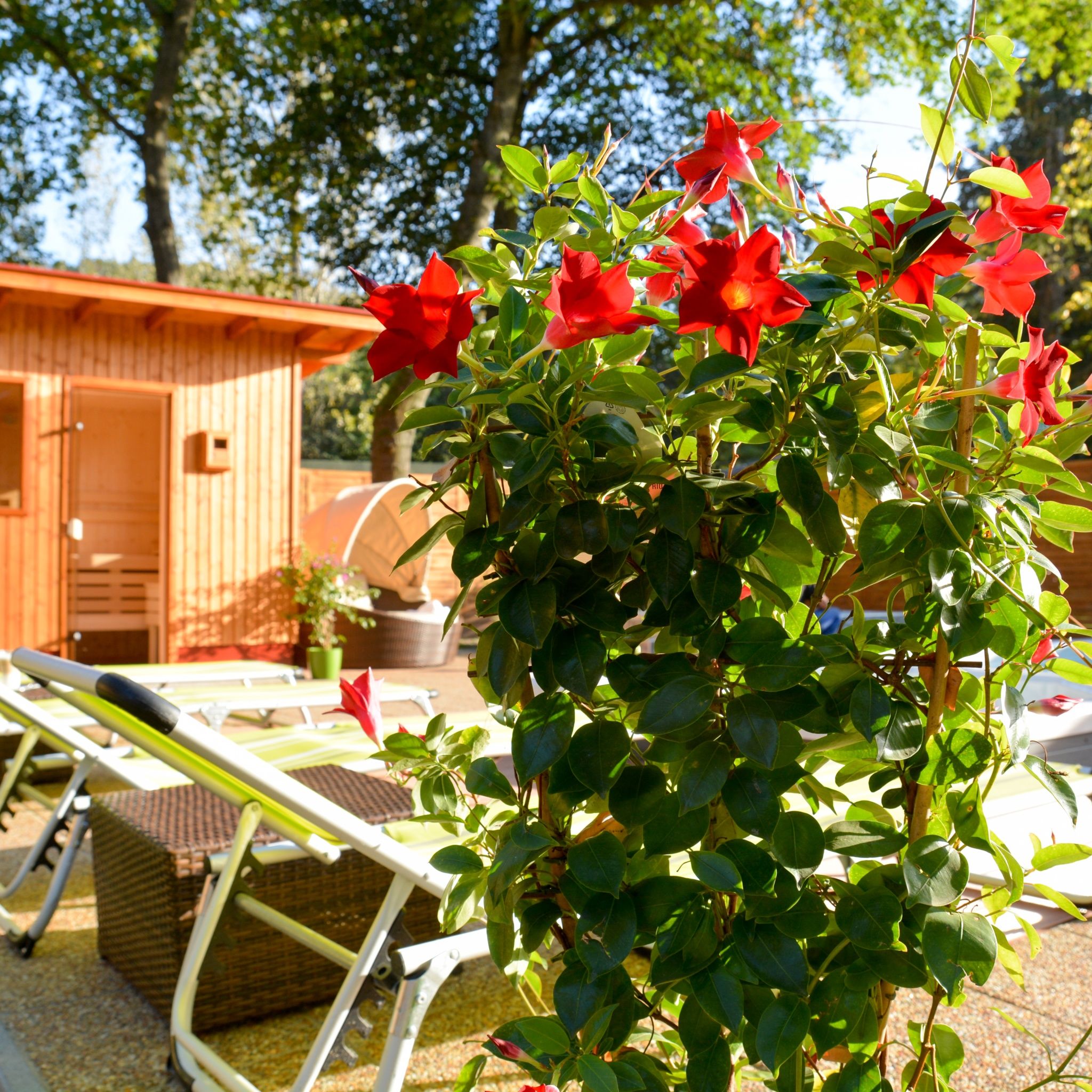 Hotel Lukács – Kazincbarcika fotó 15