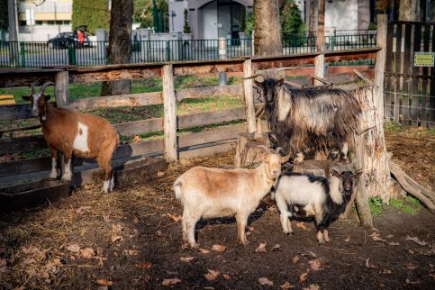 Dráva Hotel Thermal Resort****32