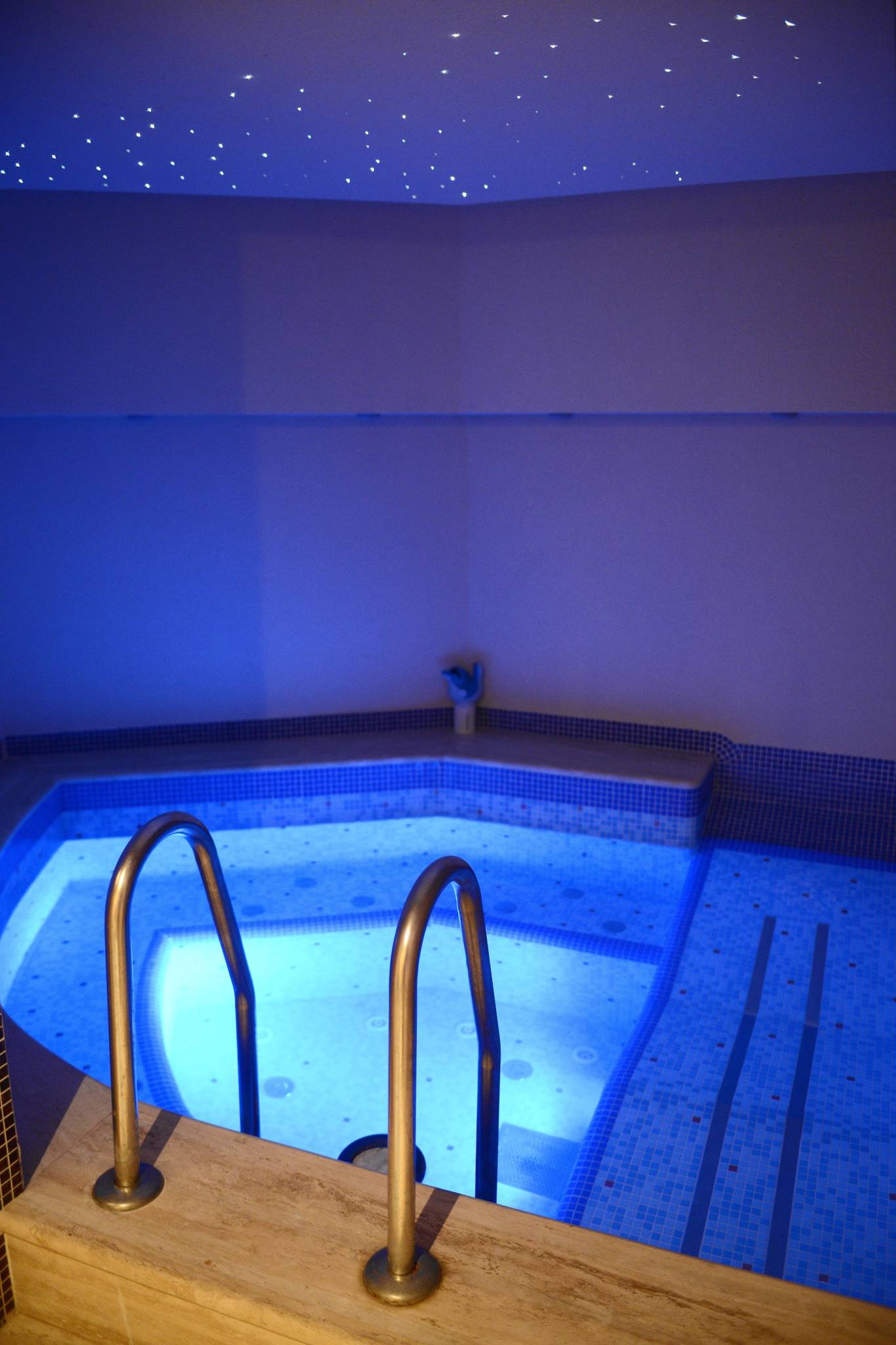 Wellness Hotel Balaton – Fonyód fotó 4