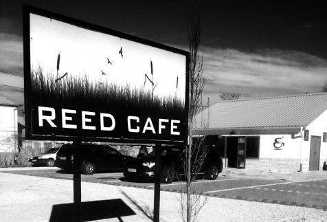 Reed Cafe Pizzéria4