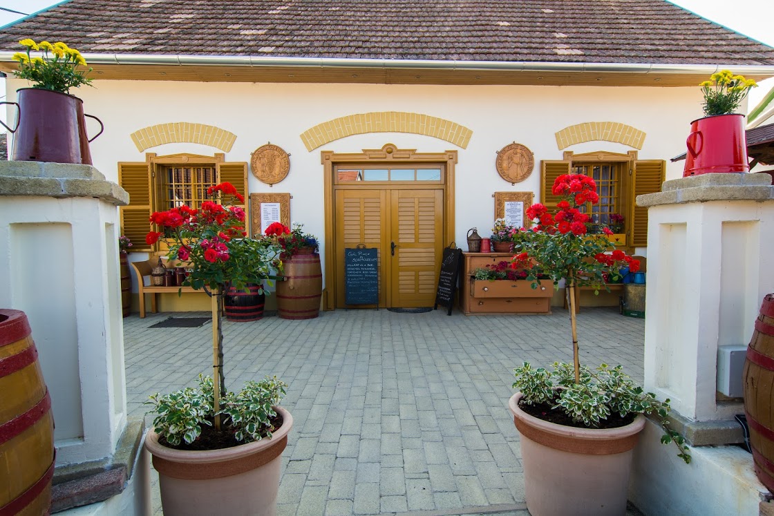Gál Pince És Bormúzeum – Villány fotó 9