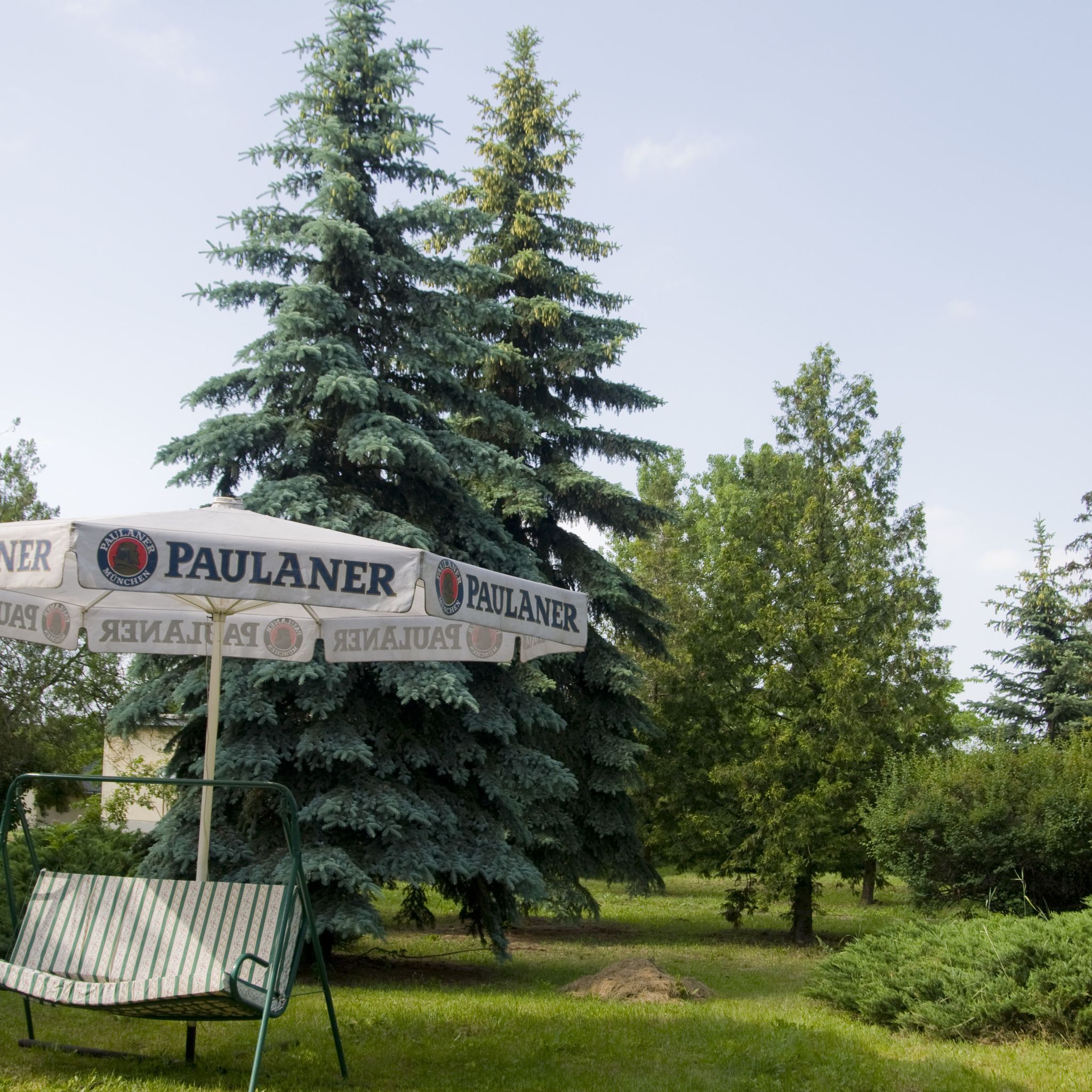 Bátorpark Panzió – Nyírbátor fotó 1