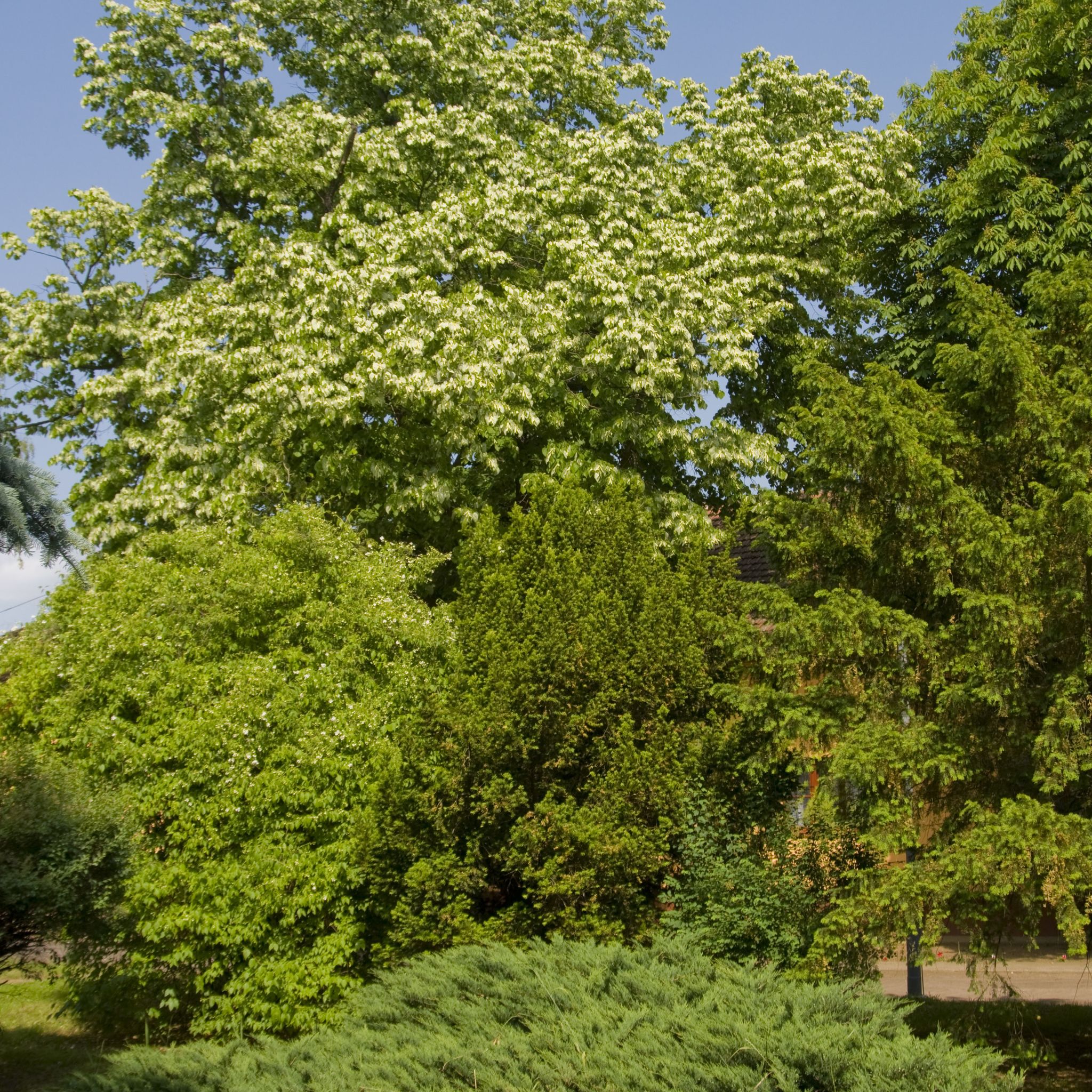Bátorpark Panzió – Nyírbátor fotó 2