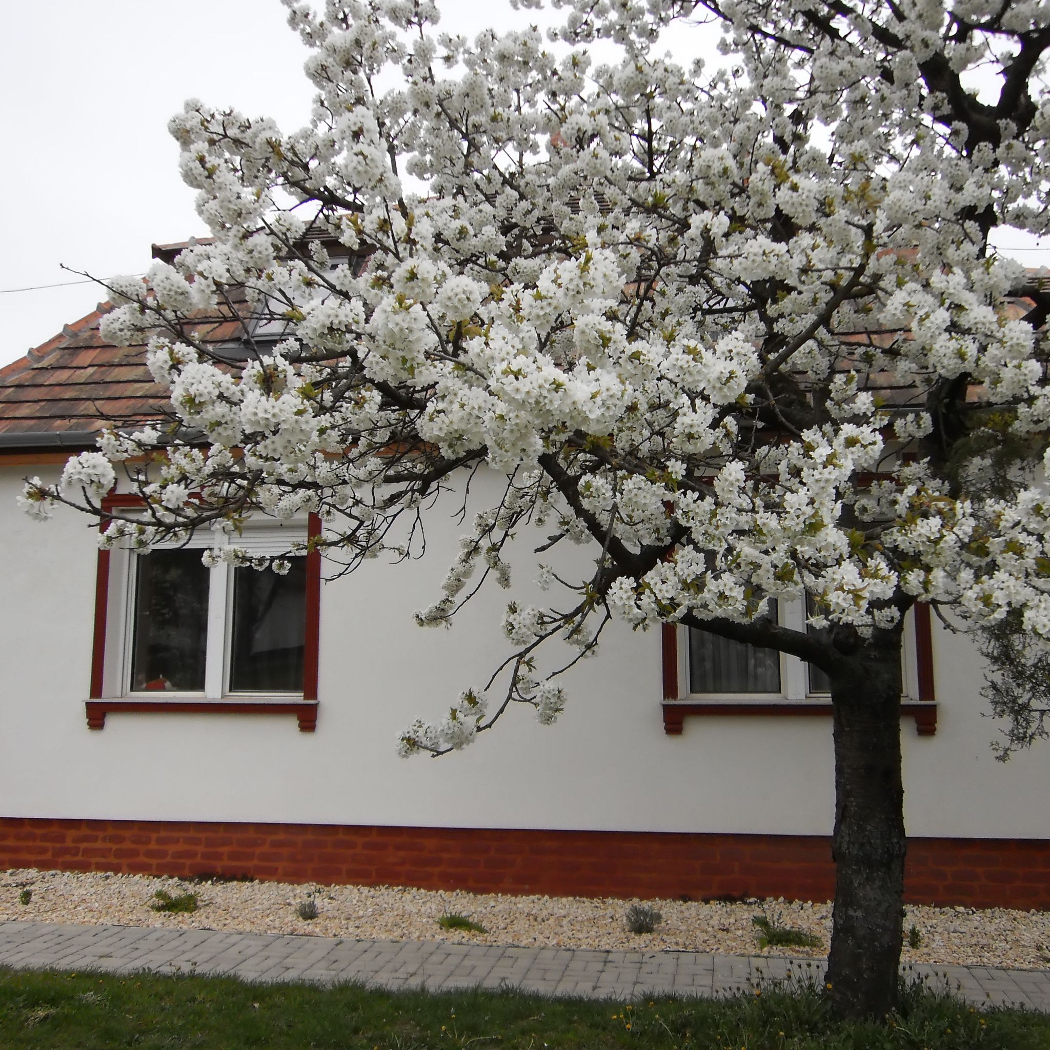 Bakonyszive Vendégház – Bakonyszücs fotó 18