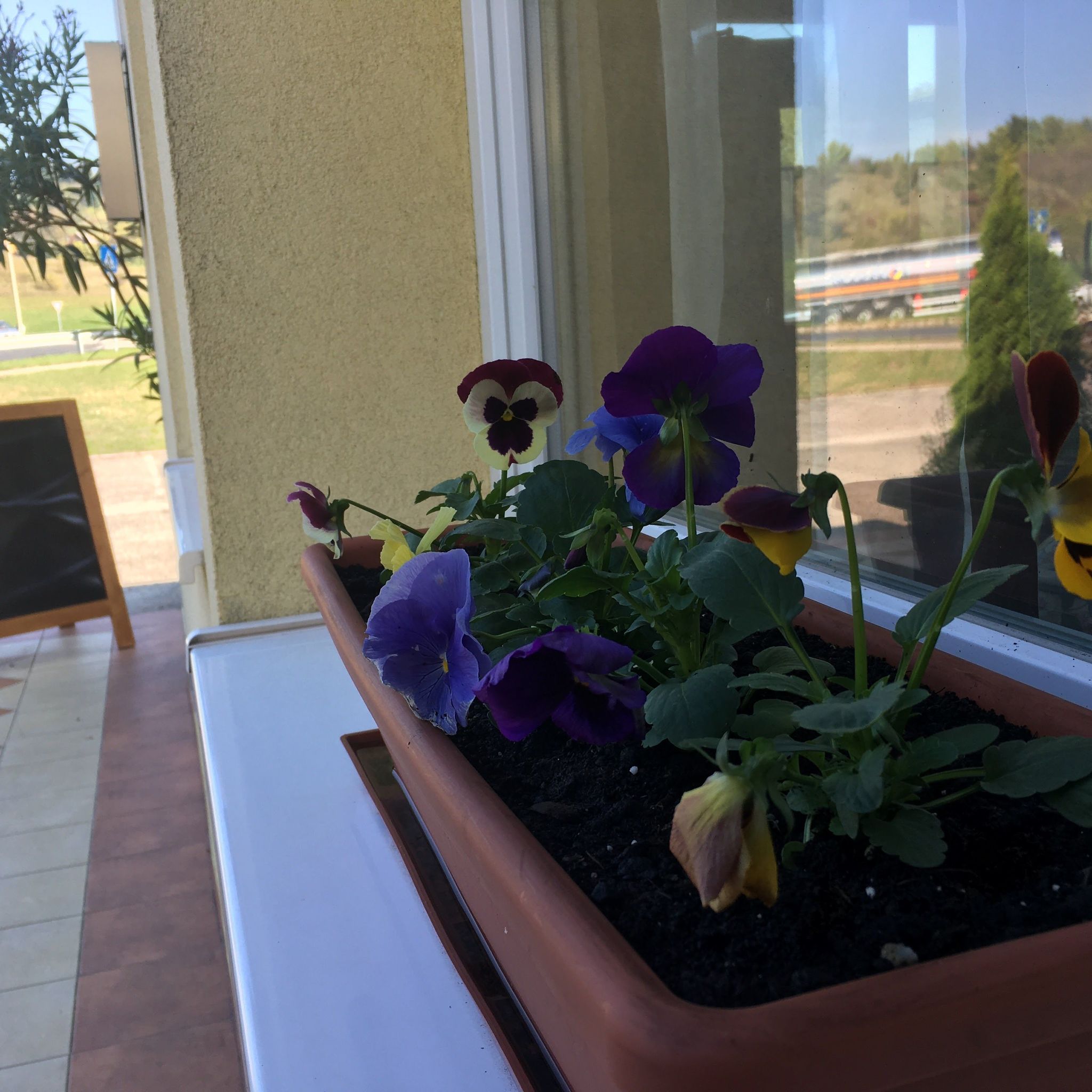 Romantik Panzió – Tatabánya fotó 8